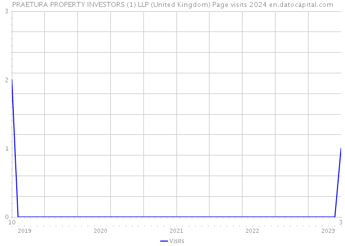 PRAETURA PROPERTY INVESTORS (1) LLP (United Kingdom) Page visits 2024 