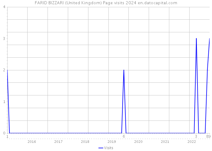 FARID BIZZARI (United Kingdom) Page visits 2024 