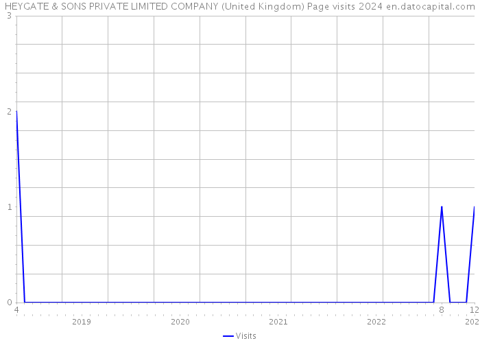 HEYGATE & SONS PRIVATE LIMITED COMPANY (United Kingdom) Page visits 2024 