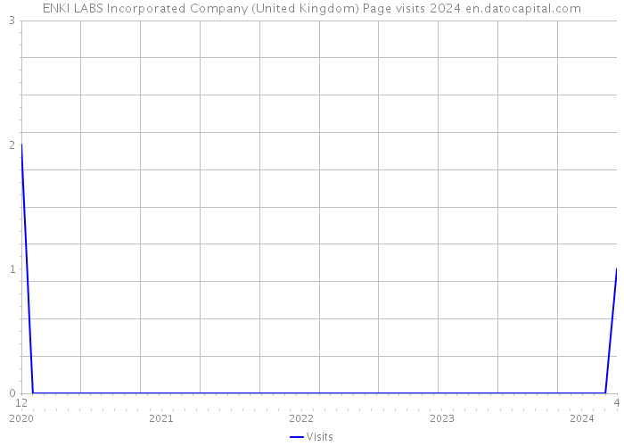ENKI LABS Incorporated Company (United Kingdom) Page visits 2024 