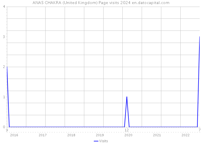 ANAS CHAKRA (United Kingdom) Page visits 2024 