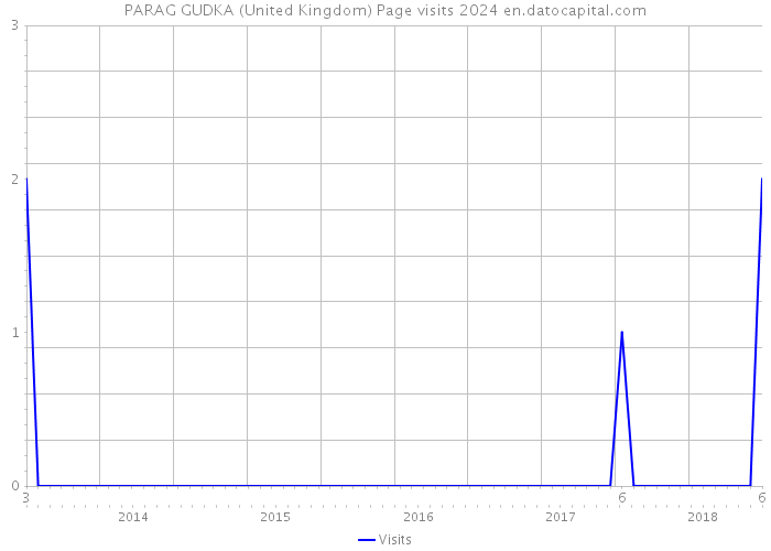 PARAG GUDKA (United Kingdom) Page visits 2024 