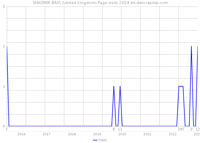 SHADMIR BAIG (United Kingdom) Page visits 2024 