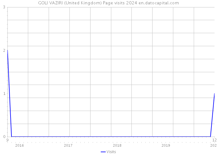 GOLI VAZIRI (United Kingdom) Page visits 2024 
