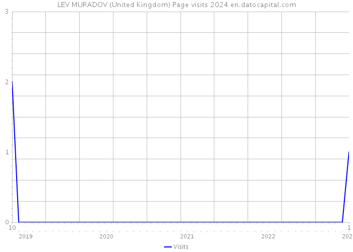 LEV MURADOV (United Kingdom) Page visits 2024 