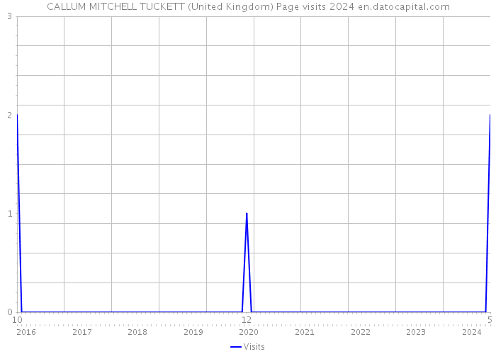 CALLUM MITCHELL TUCKETT (United Kingdom) Page visits 2024 
