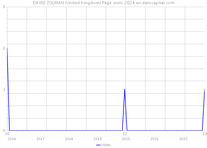 DAVID ZOLMAN (United Kingdom) Page visits 2024 