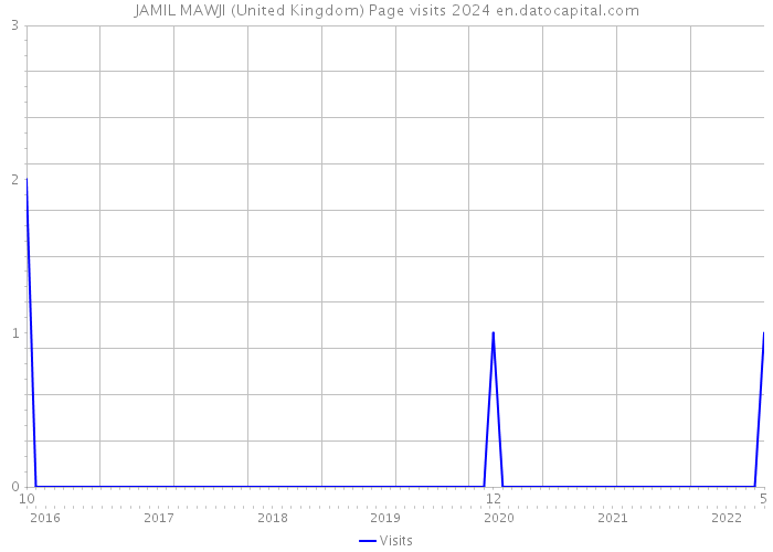 JAMIL MAWJI (United Kingdom) Page visits 2024 