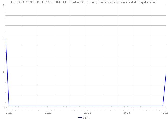 FIELD-BROOK (HOLDINGS) LIMITED (United Kingdom) Page visits 2024 