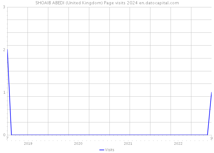 SHOAIB ABEDI (United Kingdom) Page visits 2024 