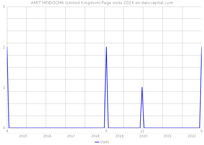 AMIT HINDOCHA (United Kingdom) Page visits 2024 