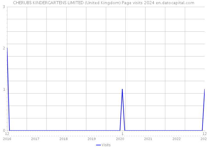 CHERUBS KINDERGARTENS LIMITED (United Kingdom) Page visits 2024 