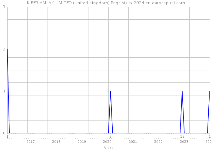 KIBER AMLAK LIMITED (United Kingdom) Page visits 2024 