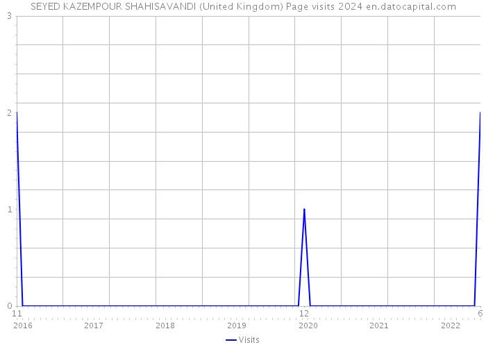 SEYED KAZEMPOUR SHAHISAVANDI (United Kingdom) Page visits 2024 