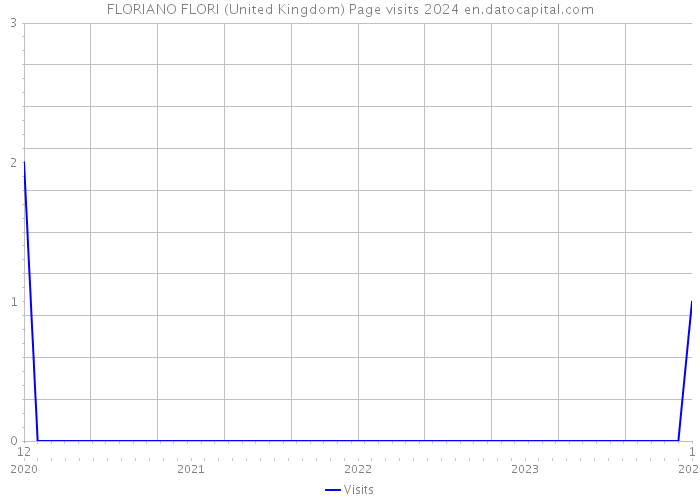 FLORIANO FLORI (United Kingdom) Page visits 2024 