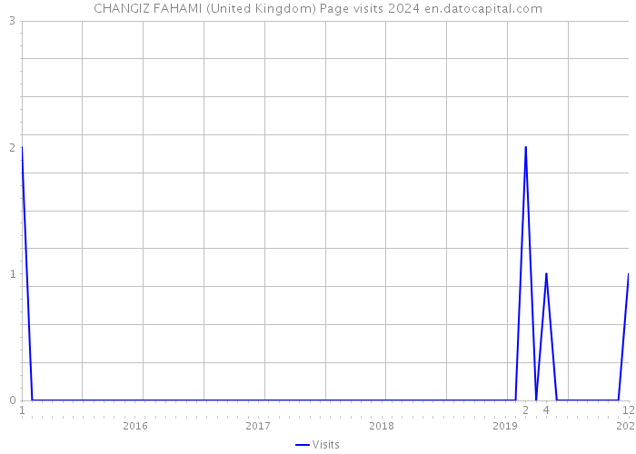 CHANGIZ FAHAMI (United Kingdom) Page visits 2024 