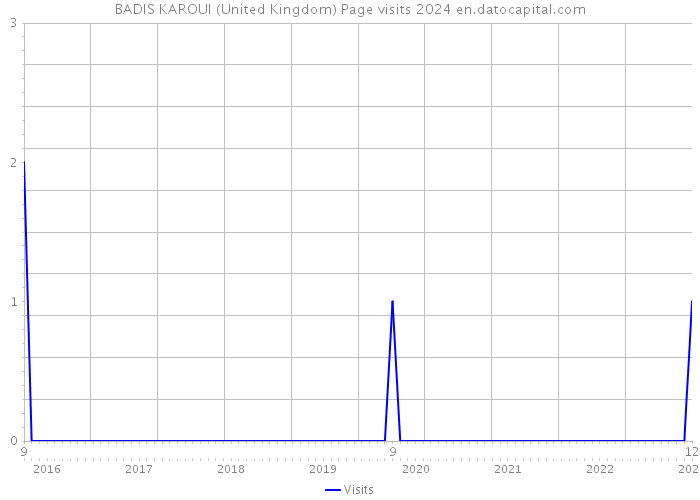 BADIS KAROUI (United Kingdom) Page visits 2024 