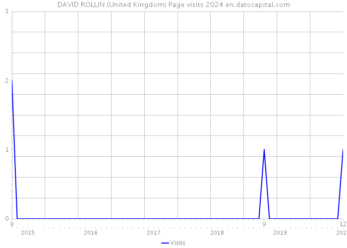DAVID ROLLIN (United Kingdom) Page visits 2024 