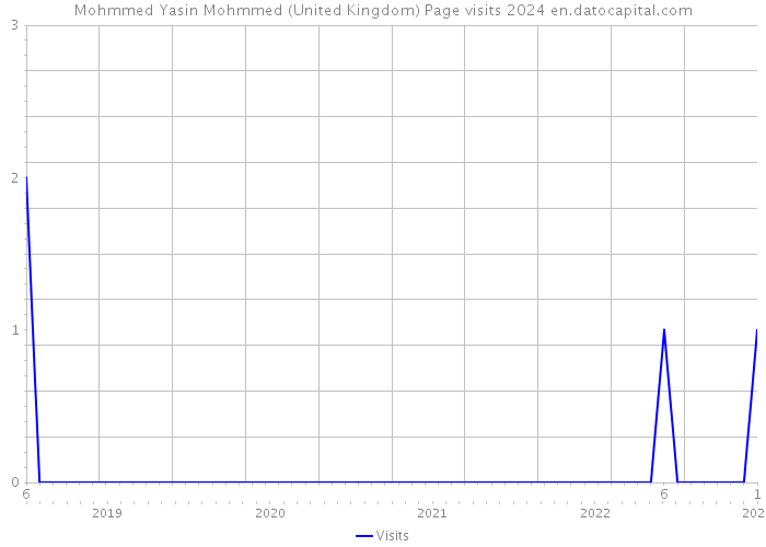 Mohmmed Yasin Mohmmed (United Kingdom) Page visits 2024 