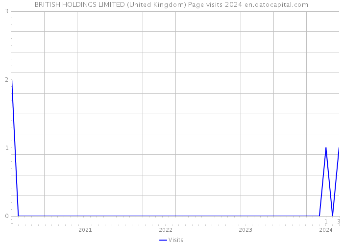 BRITISH HOLDINGS LIMITED (United Kingdom) Page visits 2024 