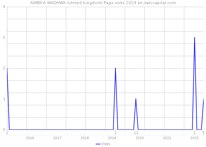 AMBIKA WADHWA (United Kingdom) Page visits 2024 