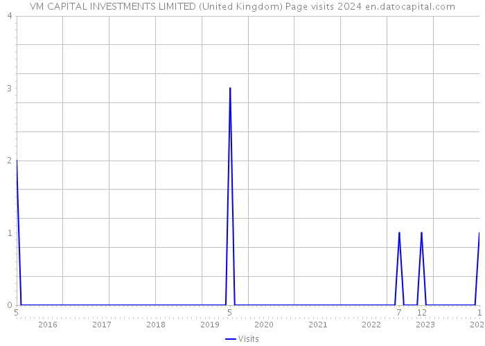 VM CAPITAL INVESTMENTS LIMITED (United Kingdom) Page visits 2024 