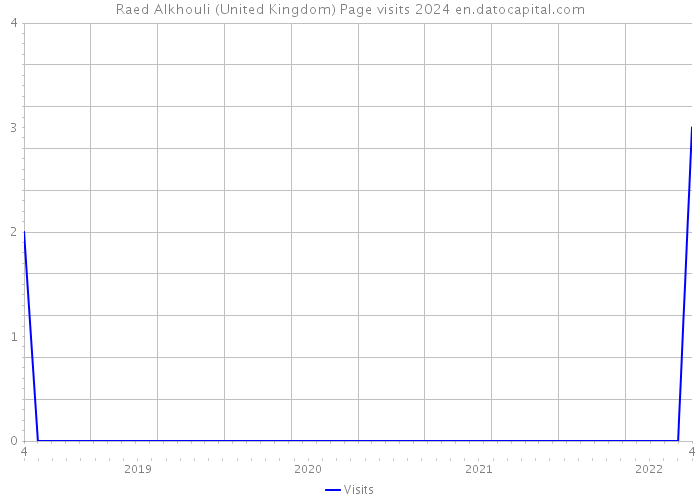 Raed Alkhouli (United Kingdom) Page visits 2024 