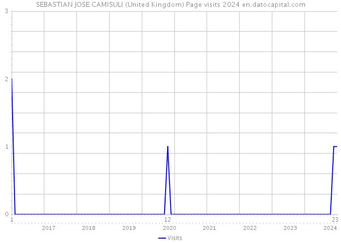 SEBASTIAN JOSE CAMISULI (United Kingdom) Page visits 2024 