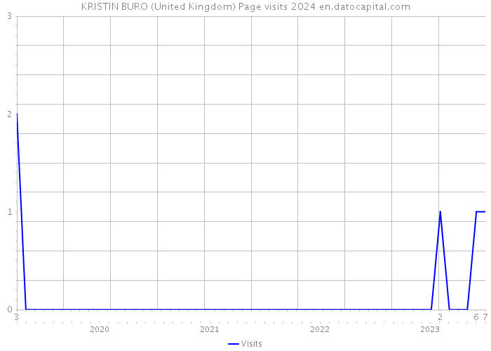 KRISTIN BURO (United Kingdom) Page visits 2024 