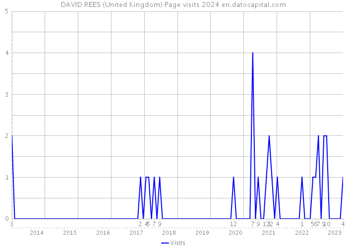 DAVID REES (United Kingdom) Page visits 2024 