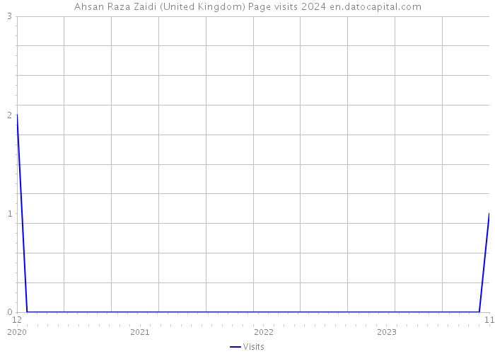 Ahsan Raza Zaidi (United Kingdom) Page visits 2024 