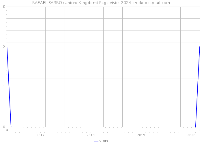 RAFAEL SARRO (United Kingdom) Page visits 2024 
