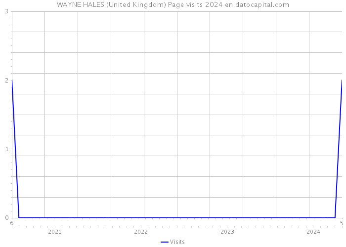 WAYNE HALES (United Kingdom) Page visits 2024 