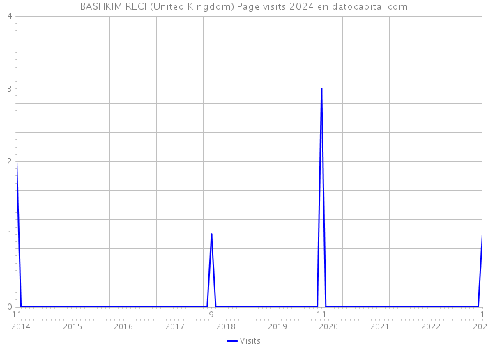 BASHKIM RECI (United Kingdom) Page visits 2024 