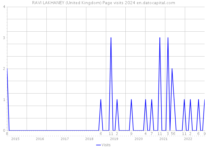 RAVI LAKHANEY (United Kingdom) Page visits 2024 