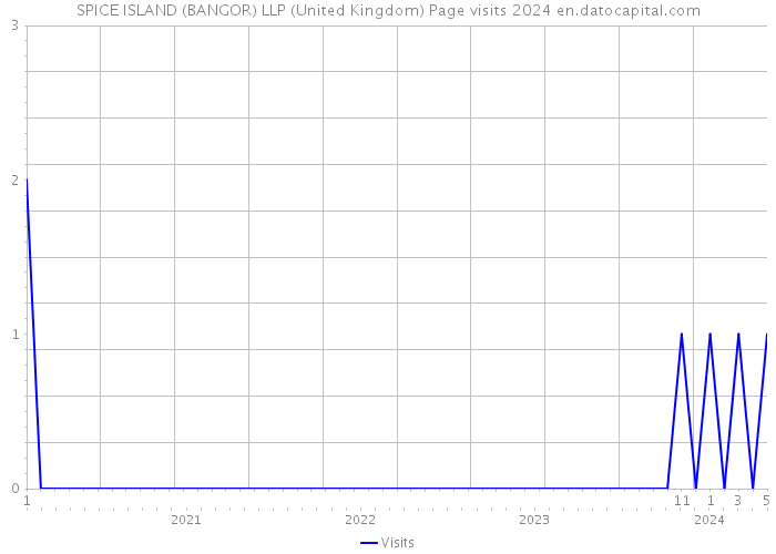 SPICE ISLAND (BANGOR) LLP (United Kingdom) Page visits 2024 