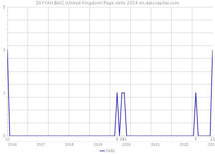 ZAYYAN BAIG (United Kingdom) Page visits 2024 