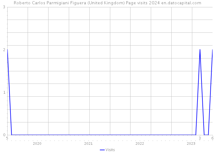 Roberto Carlos Parmigiani Figuera (United Kingdom) Page visits 2024 
