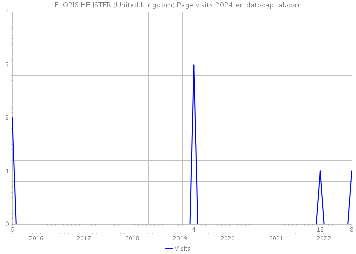 FLORIS HEIJSTER (United Kingdom) Page visits 2024 