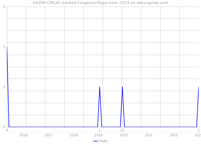KAZIM CIPLAK (United Kingdom) Page visits 2024 