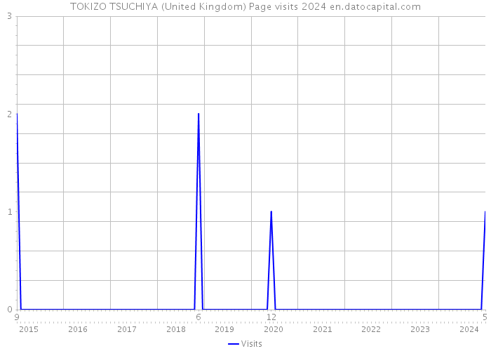 TOKIZO TSUCHIYA (United Kingdom) Page visits 2024 