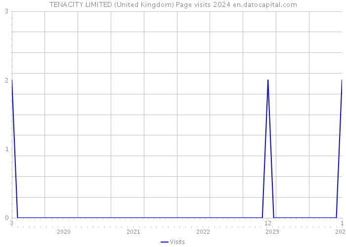TENACITY LIMITED (United Kingdom) Page visits 2024 