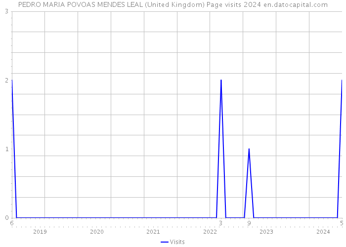 PEDRO MARIA POVOAS MENDES LEAL (United Kingdom) Page visits 2024 