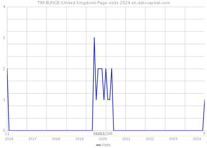 TIM BUNGE (United Kingdom) Page visits 2024 