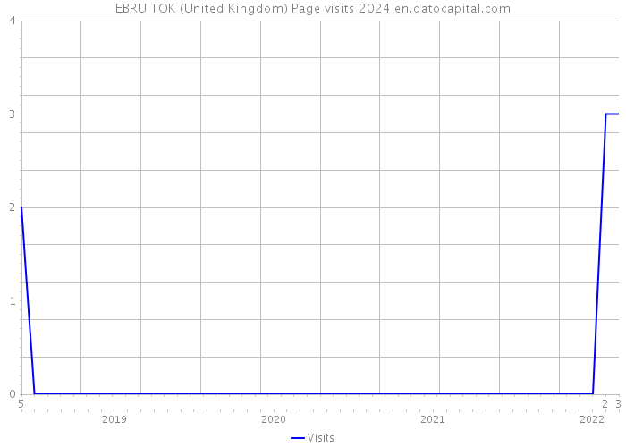 EBRU TOK (United Kingdom) Page visits 2024 