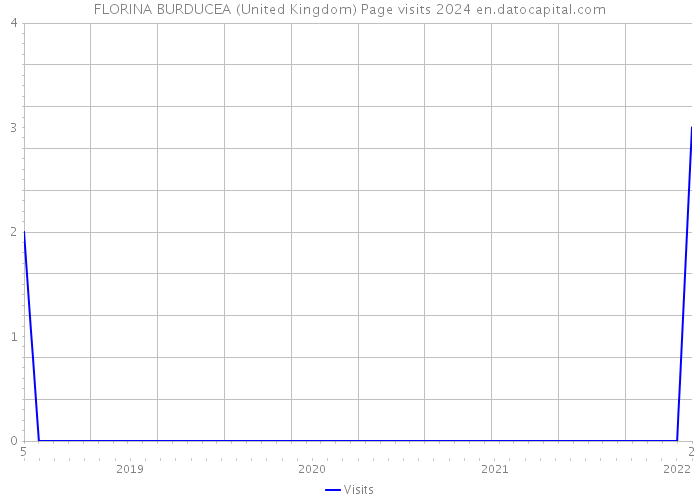 FLORINA BURDUCEA (United Kingdom) Page visits 2024 
