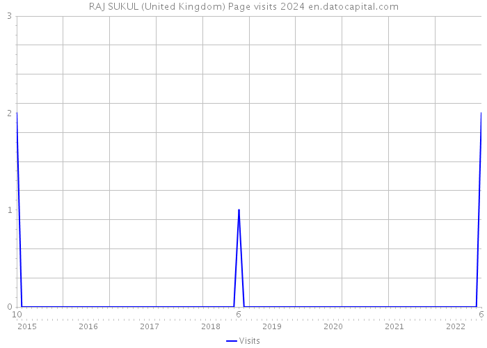 RAJ SUKUL (United Kingdom) Page visits 2024 