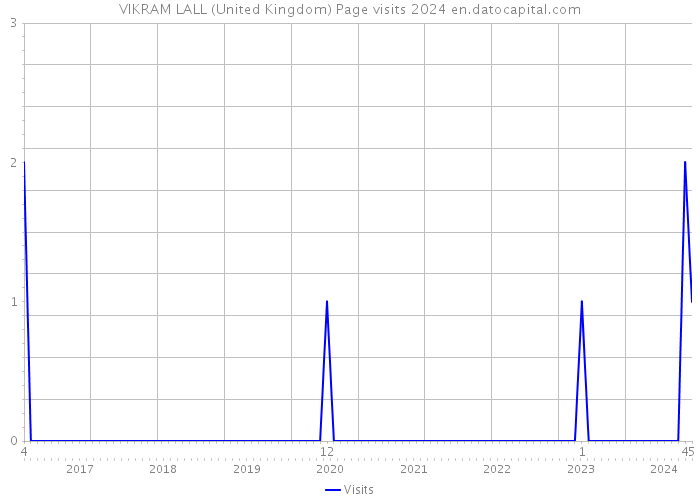 VIKRAM LALL (United Kingdom) Page visits 2024 