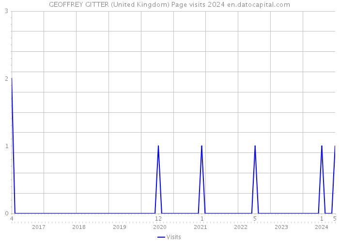 GEOFFREY GITTER (United Kingdom) Page visits 2024 
