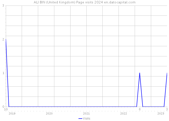 ALI BIN (United Kingdom) Page visits 2024 